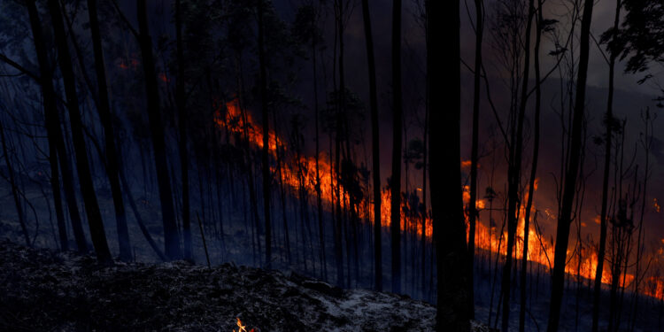 Beset by wildfires, Portugal gets help from Spain, Morocco