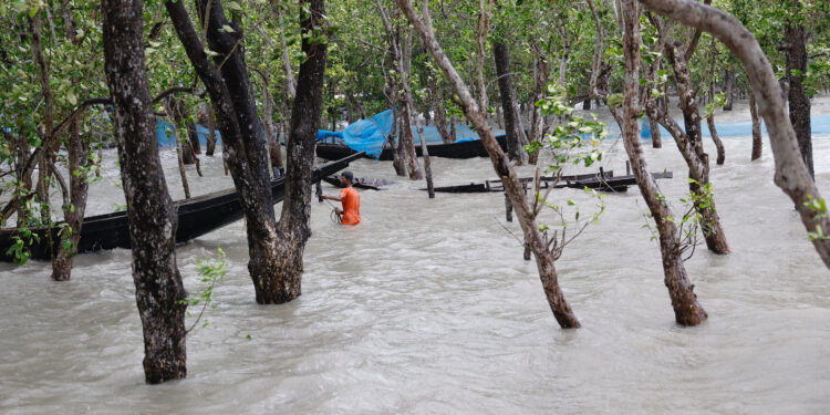 World Bank climate finance reaches record $42.6 billion in fiscal 2024