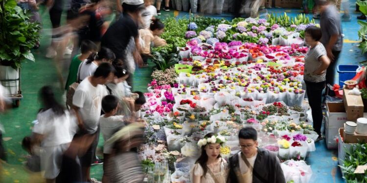 China to enrich cultural, tourism offering during National Day holiday