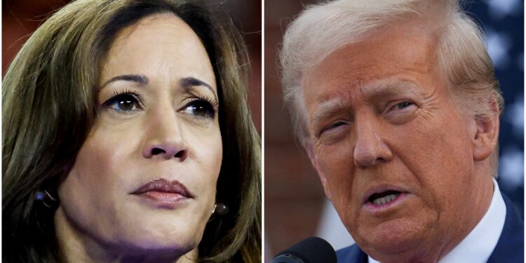 Harris lead over Trump dwindles to a single point, 44% to 43%