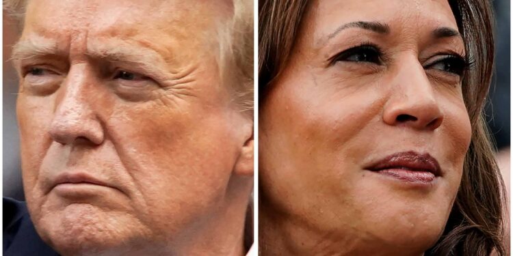 Harris holds steady, marginal 45%-42% lead over Trump, Reporters/Ipsos poll finds