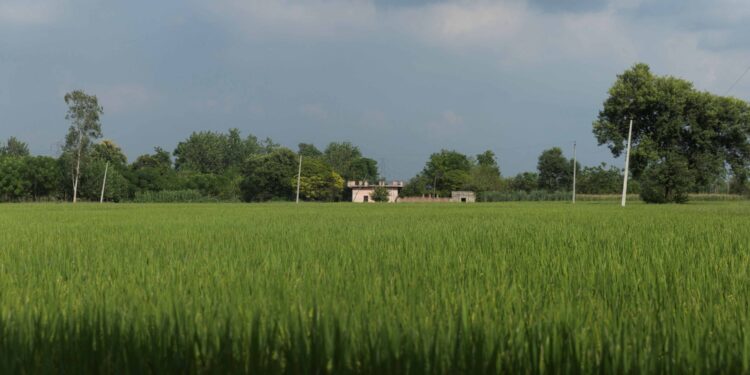 Indians in Punjab fear dispute with Canada endangers work, study plans