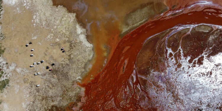 Bolivians remove tons of trash from Lake Uru Uru, home to flamingos