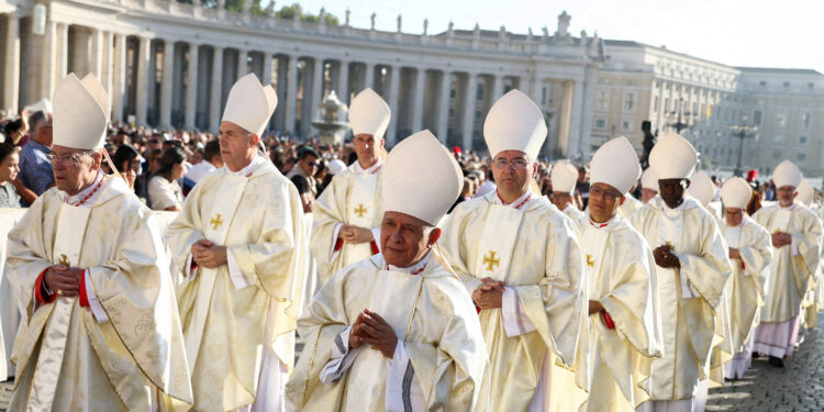 Pope’s diverse choices of new cardinals won’t smooth path for successor