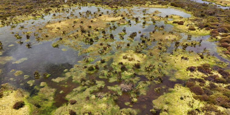 Colombia and Ecuador fight to save vital wetlands amid drought