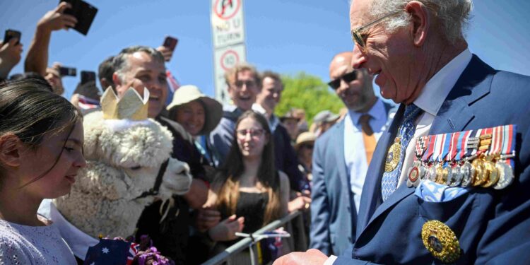 King Charles greets happy crowds, a protesting MP and one alpaca on visit to Canberra