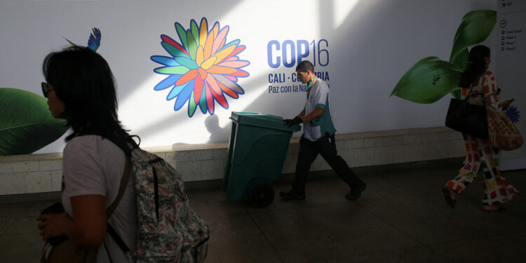 World lags on 2030 nature goals headed into UN COP16 talks