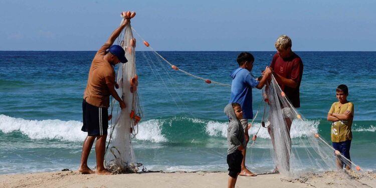 Amid war and deep hunger, Gaza fisherman struggle to feed families