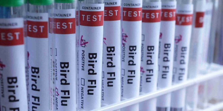 UK confirms bird flu cases at commercial poultry farm