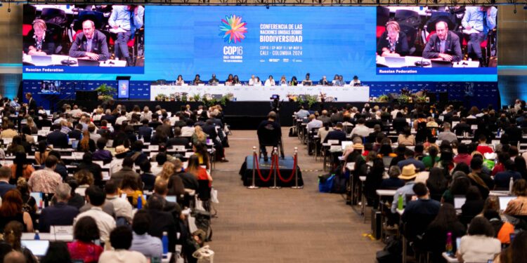 Activists rally in Belgrade to protest railway station disaster