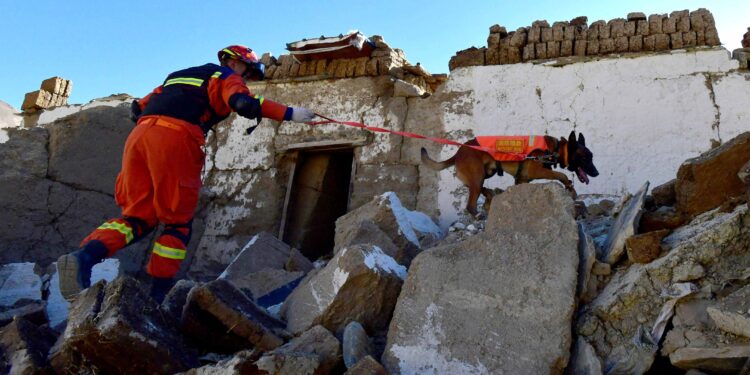 Urgency mounts in search for survivors of powerful Tibet earthquake
