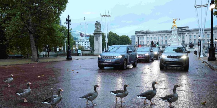 Britain to introduce digital driving licences this year