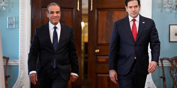 Arab states reject Trump plan for Gaza, Egypt foreign minister tells Rubio