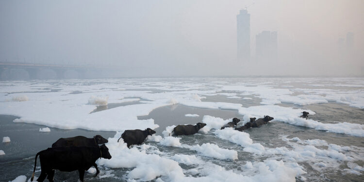 Most countries miss UN deadline for new climate targets