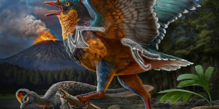 Jurassic fossil from China rewrites history of bird evolution