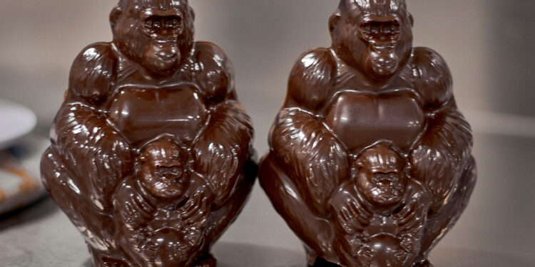 War-hit Congo park turns to chocolate gorillas in conservation push