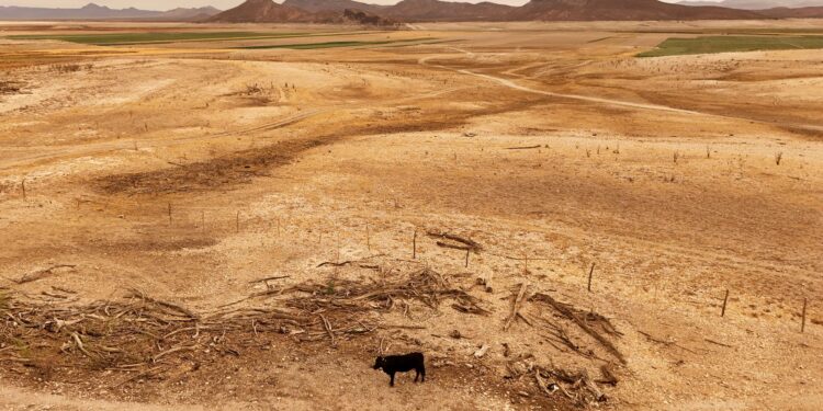 Mexico will send more water to Texas to make up treaty shortfall, USDA says
