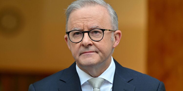 Australia to ‘stand up for national interests’ on US tariffs, says PM Albanese