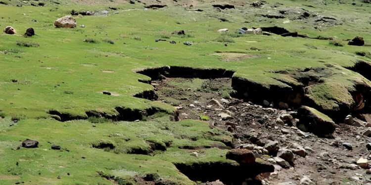 China releases new grassland vegetation map of ‘roof of the world’