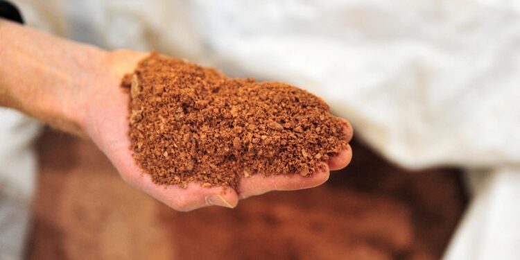 G7 leaders agree on strategy to protect critical mineral supply, draft document says