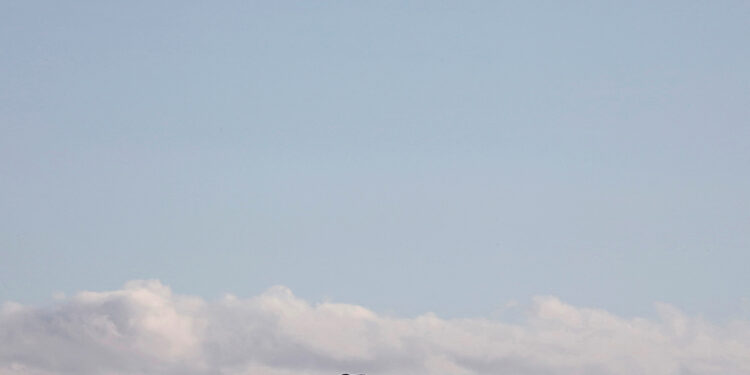 Humans adapted to diverse habitats before trekking out of Africa