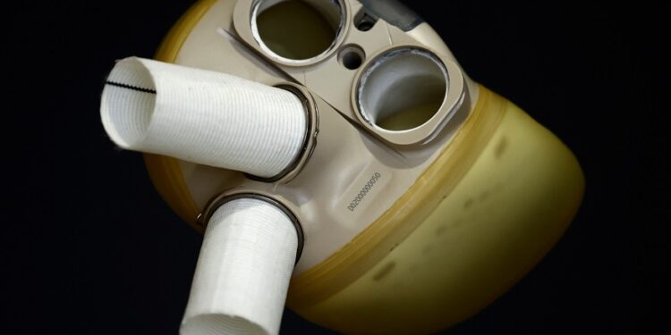 French heart prosthesis firm Carmat at risk of insolvency by end-June