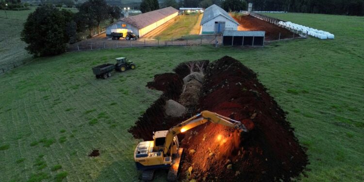 Iraq removes, South Korea eases restrictions on import of Brazil chicken meat