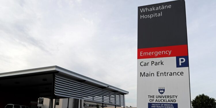 New Zealand draft infrastructure plan outlines need for more hospitals, electricity