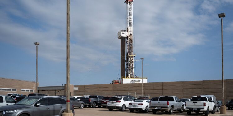 Oil rises as draw in US crude stocks signals firm demand