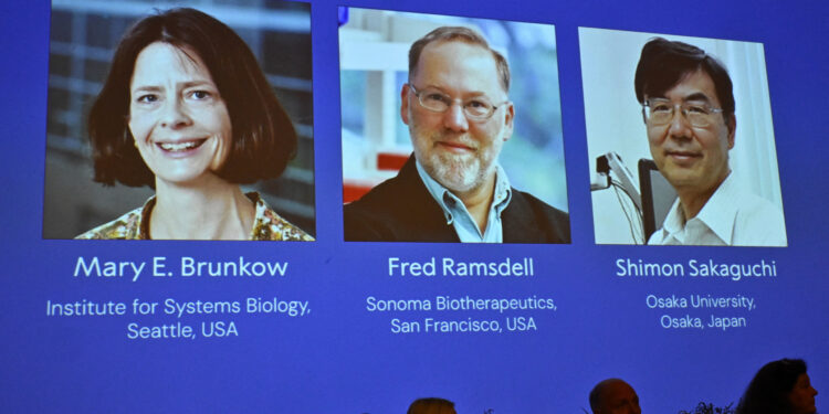 Immune system breakthrough wins Nobel medicine prize for US, Japan scientists