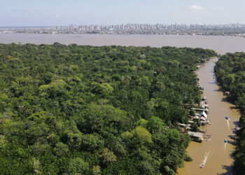 Scientists run climate ‘time machine’ in Amazon as Brazil preps for COP30