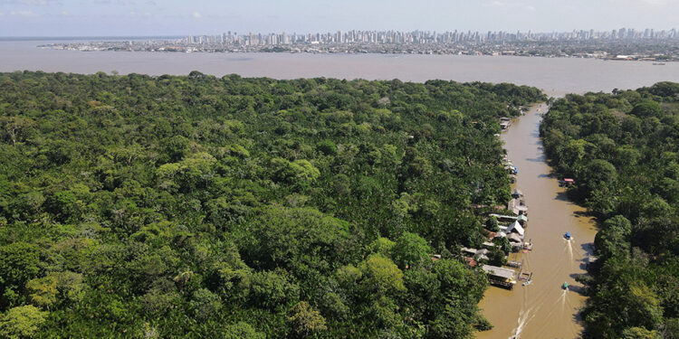 Scientists run climate ‘time machine’ in Amazon as Brazil preps for COP30