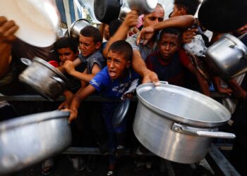 ‘Shockingly high’ number of Gaza children still acutely malnourished after truce, UN says