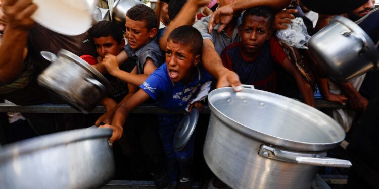 ‘Shockingly high’ number of Gaza children still acutely malnourished after truce, UN says
