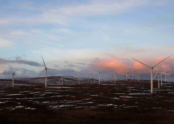 Britain records new wind power generation record, NESO says