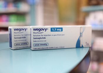 EU drugs regulator backs higher dose of Novo’s Wegovy