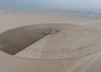 Iraq’s dreams of wheat independence dashed by water crisis