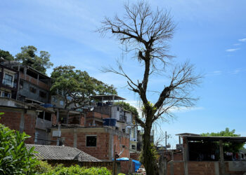 Heat inequality: Study measures the toll of climate change in Rio de Janeiro favelas