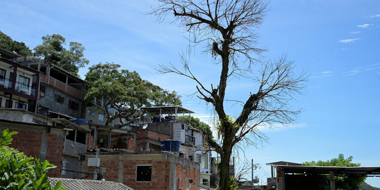 Heat inequality: Study measures the toll of climate change in Rio de Janeiro favelas