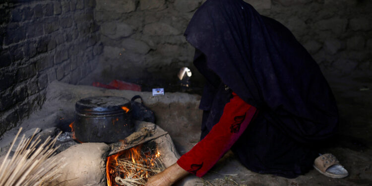 ‘Content to die’: Afghanistan’s hunger crisis worsened by winter, aid cuts