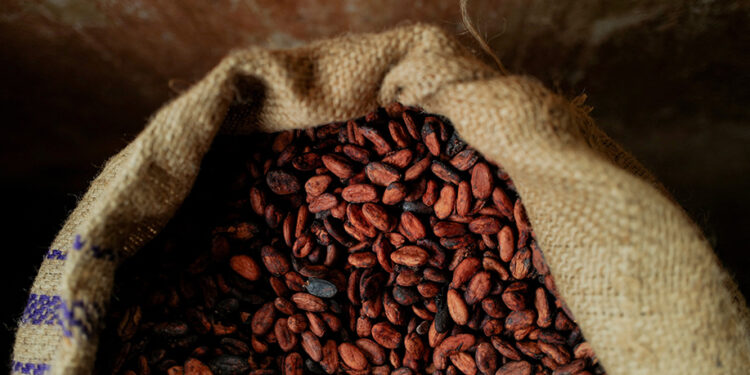 How did Ivory Coast and Ghana’s cocoa sales crisis come about?