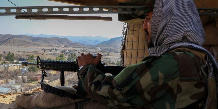 Dancing robots bring support, company to Barcelona elderly