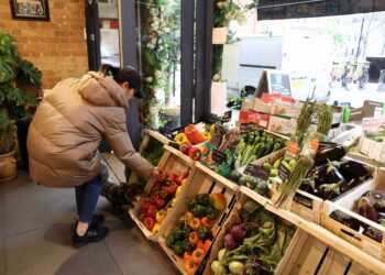UK food prices and shop price inflation slow in February, survey shows