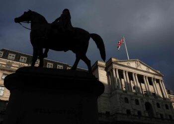 Wildlife to replace humans on next series of UK banknotes