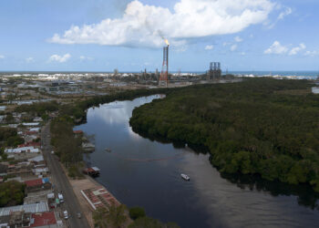 Residents and wildlife along Mexico’s coast bear the brunt of Pemex oil spill