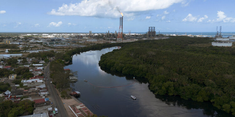 Residents and wildlife along Mexico’s coast bear the brunt of Pemex oil spill