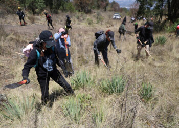 Mexico says 40,000 of country’s 130,000 disappeared people may be alive