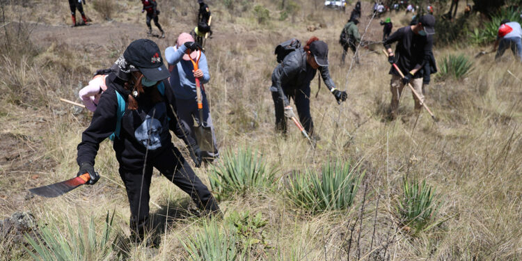 Mexico says 40,000 of country’s 130,000 disappeared people may be alive