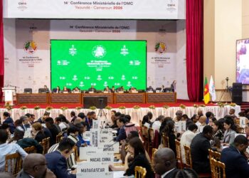 WTO talks end in deadlock after Brazil blocks deal on e-commerce duties