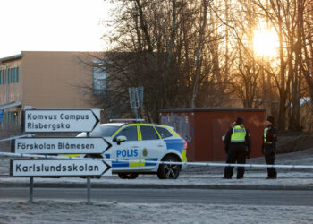 Homicides in Sweden hit lowest level in over a decade in 2025